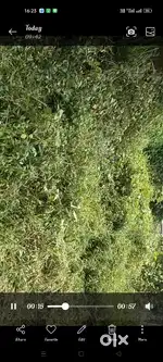 Land for sale at pokseh