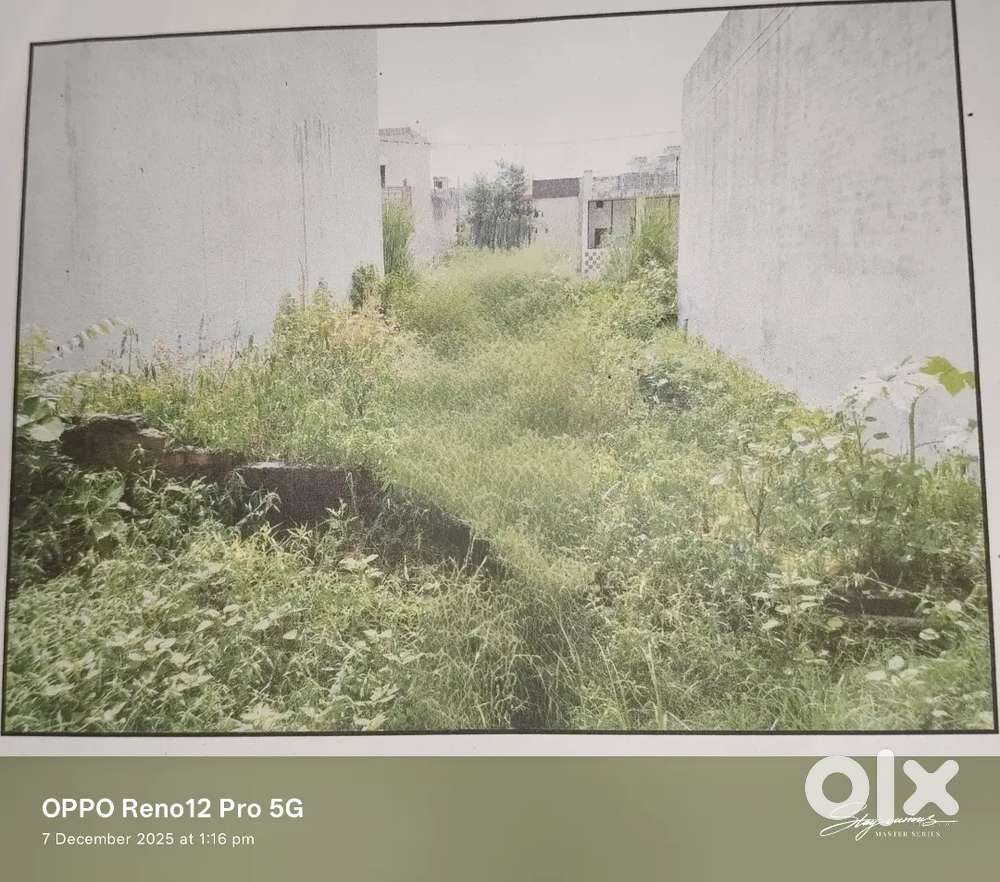 Plot available for sale