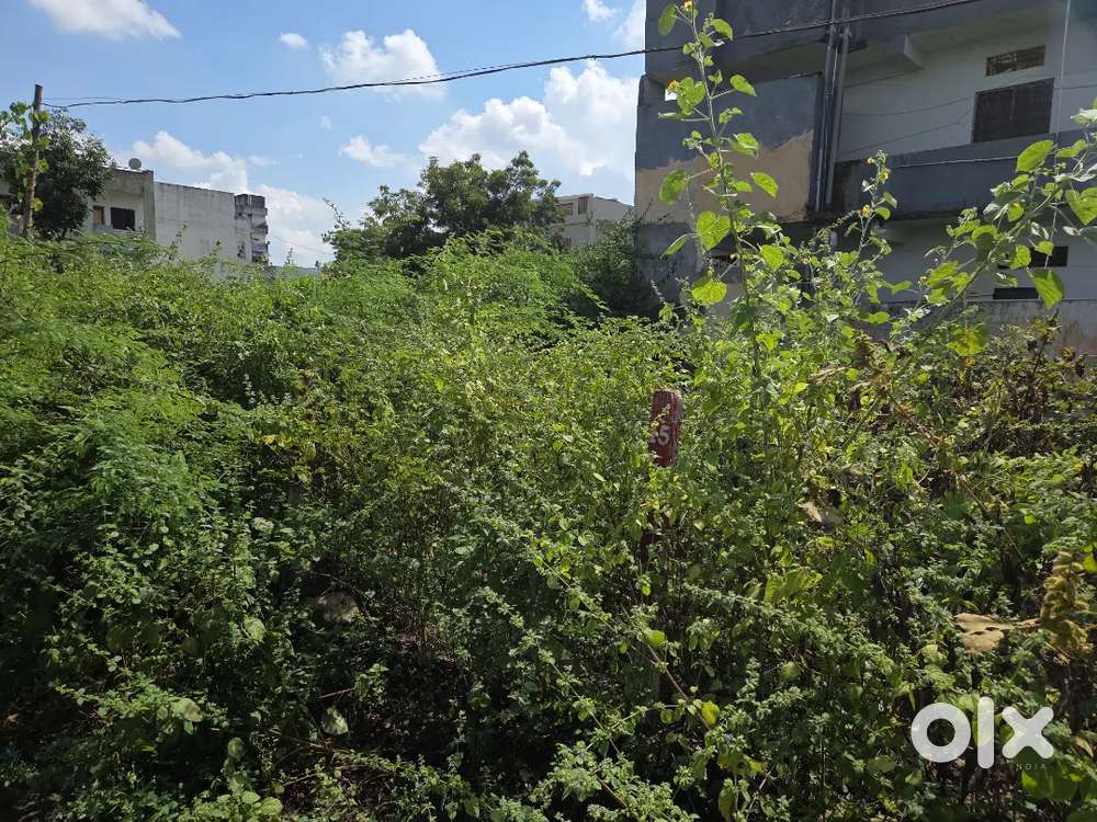 Shree Shyam Cheap Properties and real estate