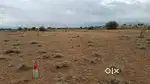 Urgent sale. 2 Plots for sale in Jeyamangalam to Vaigai Dam road.