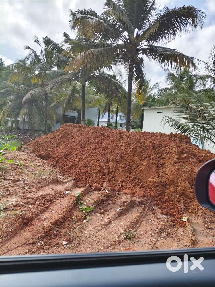 53 cent land ആയിരംതെങ്ങ് ചൈതന്യറസിഡൻസ് മെയിൻ റോഡിൽ.