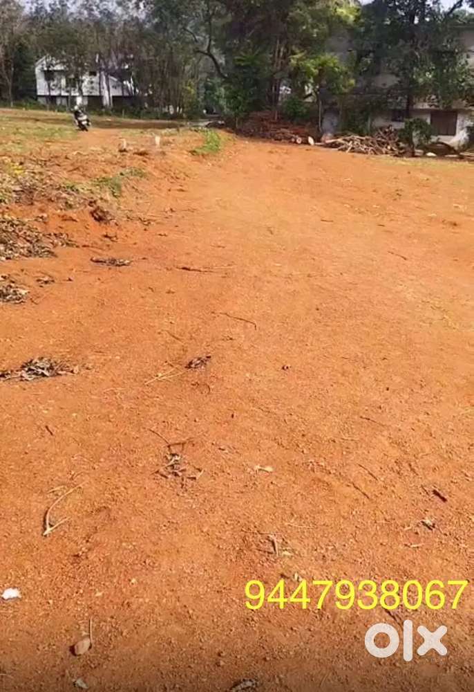 House plot for sale at Kottoppadam near kahhs school
