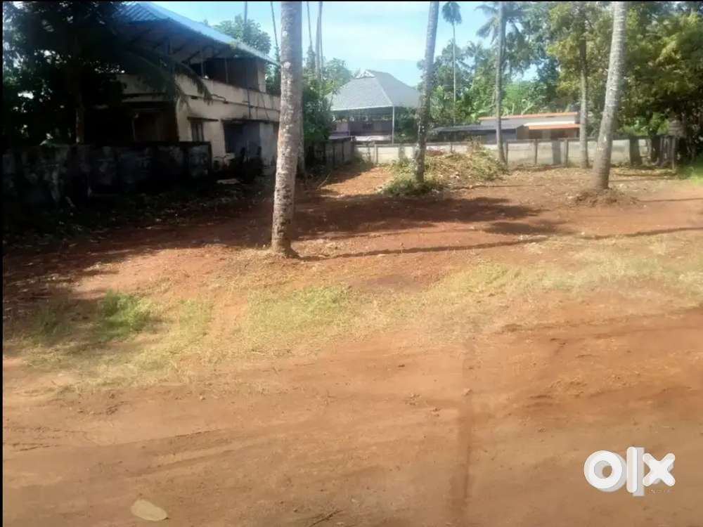 Plots (11. 3 cents) in Irinjalakuda & 12.25,13.25 cents in Pullur
