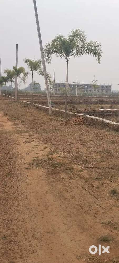 Plot for sale tirsulia