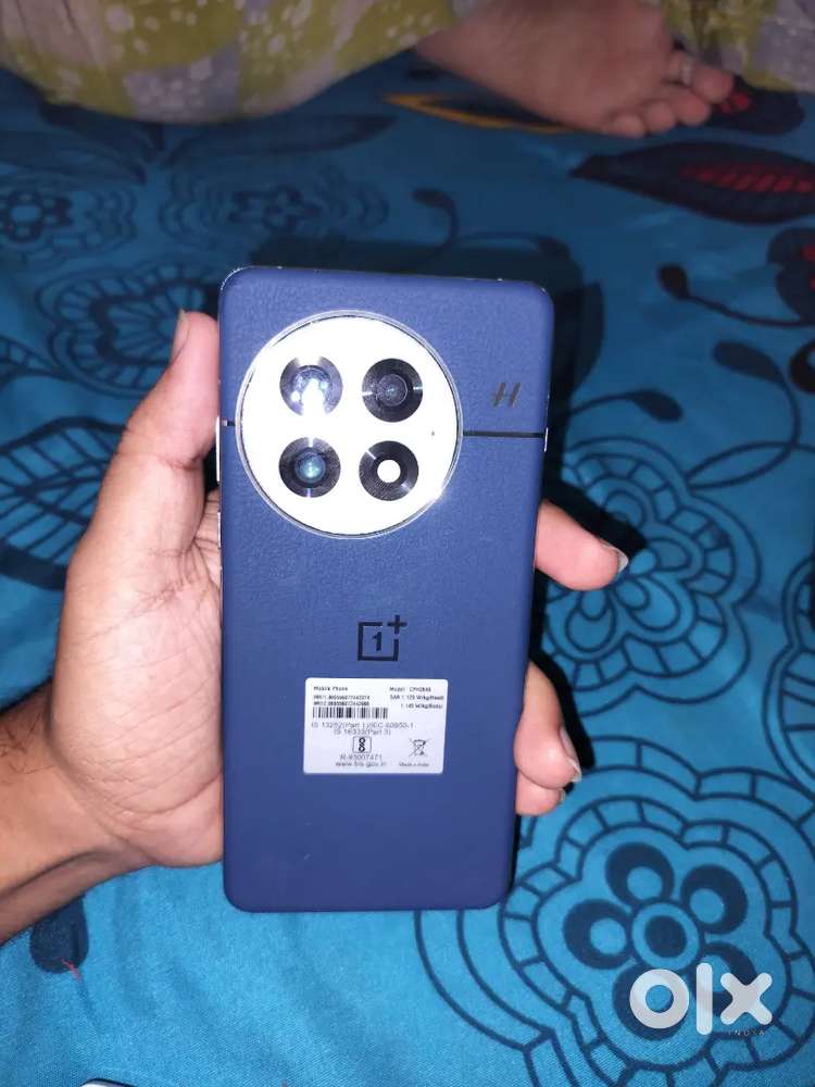 One plus 13