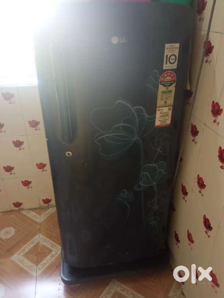 Only 2 year old fridge but nice conditions