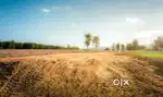 Urgently land sale opportunity Raghunathpur Bishalgarh Tripura