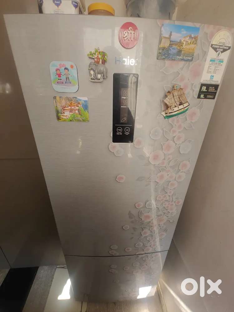 Haier bottom mount refrigerator