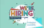 We are hiring a DRA-passed Collection Executive.