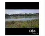 3 Acre River-Facing Areca Plantation – Hassan