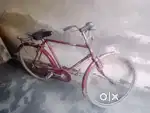 Neelam ki cycle hai ekdam nai jaisi