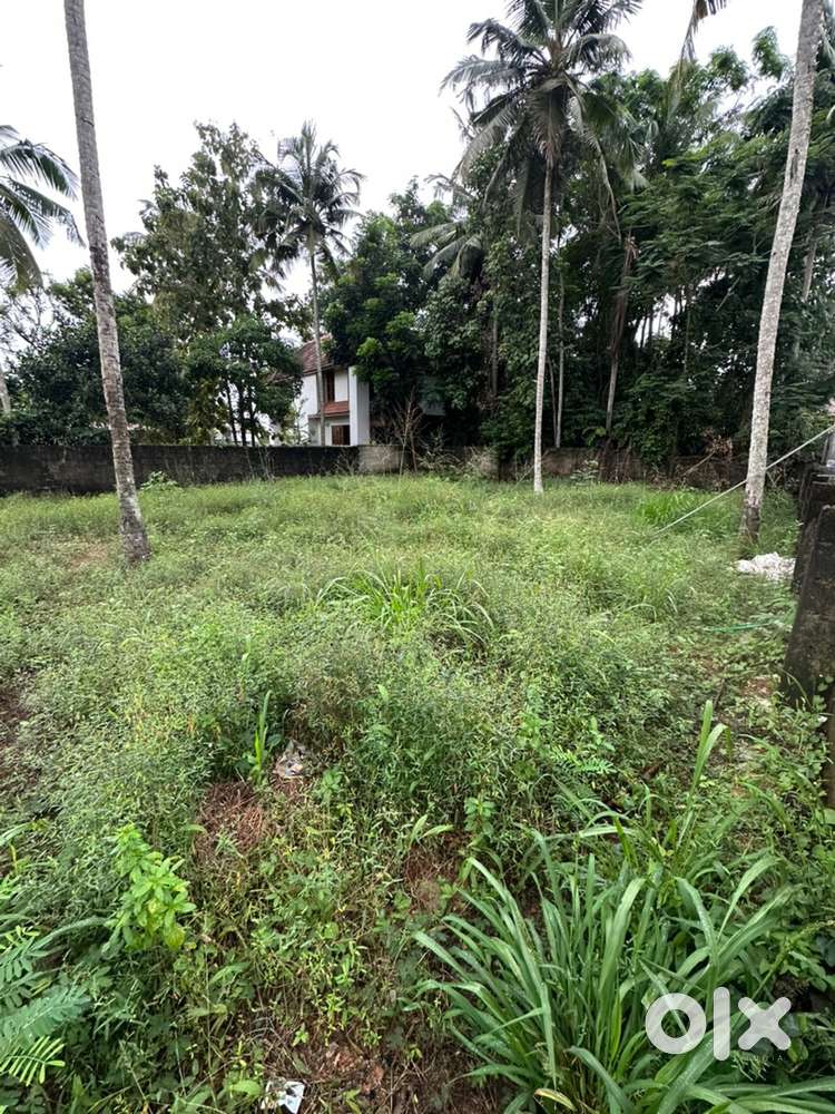 10 CENT RESIDENTIAL LAND SALE IN KOWDIAR