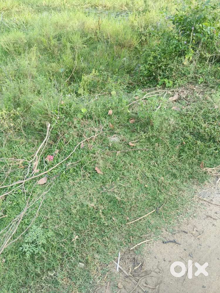Mariyappa nagar plot for sale