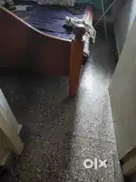 cot 1 year old