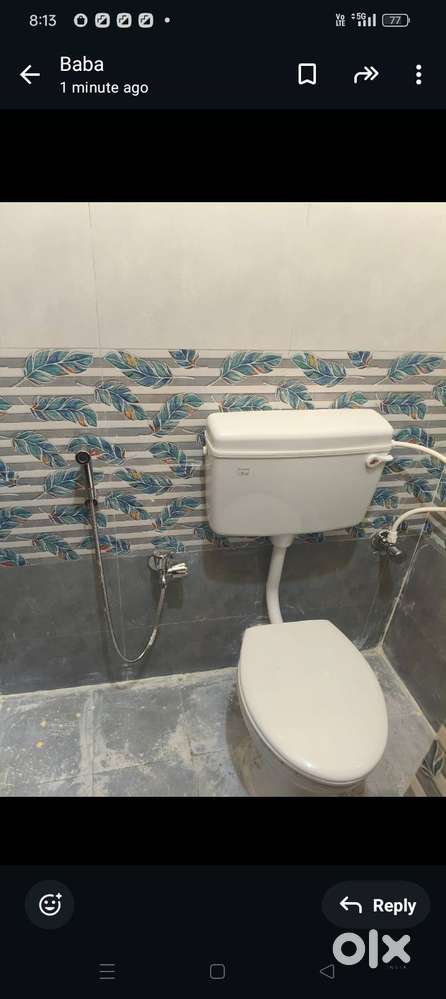 Need good working lady or girl