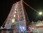 Good family or Working bachulars