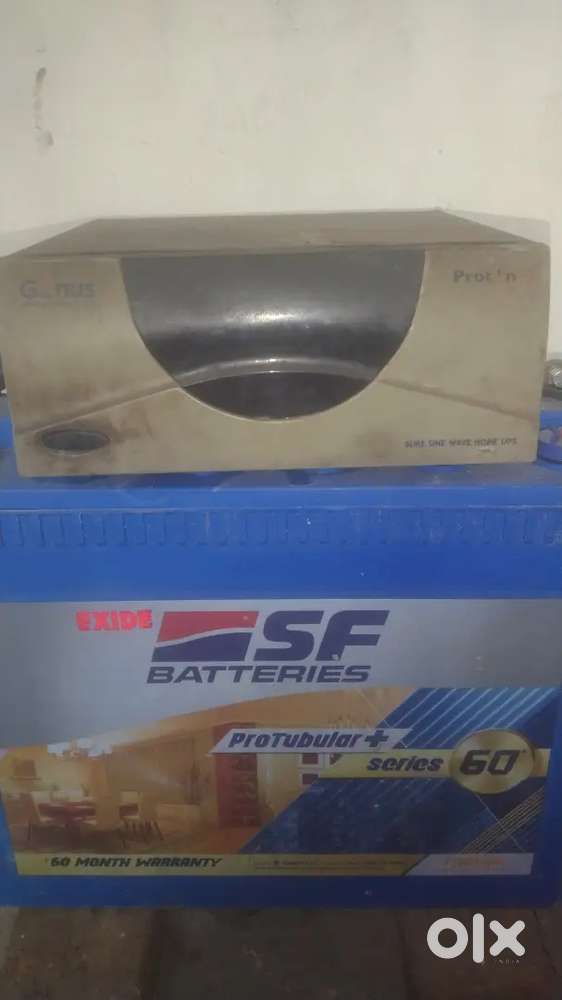 Inverter battery
