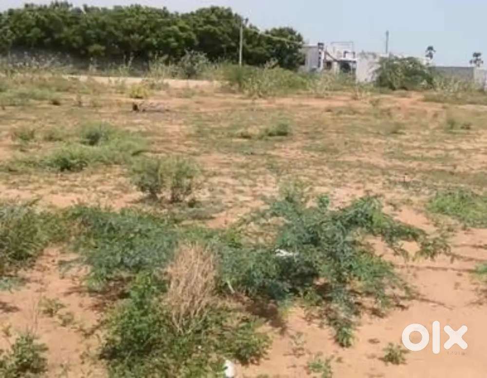 Trichy land for sale in theepanjali near manachanallur