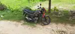 New conditions 8 month baik