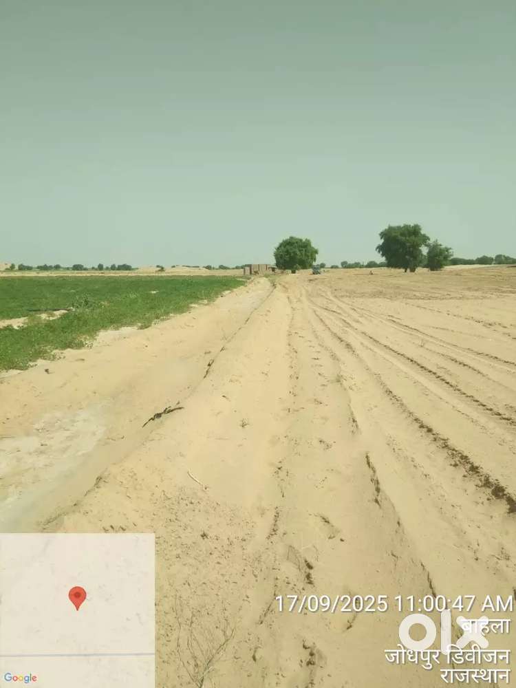 25 बीघा एस सी की जमीन