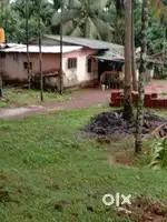 380 cents agricultural land for sale