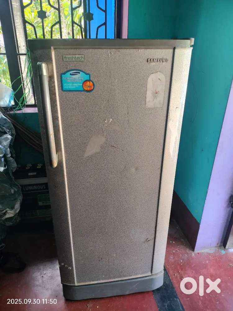 Samsung company fredge