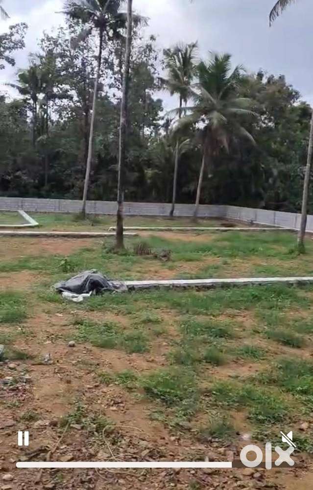 7,8,10,12 cent Premium House Plot at near NH Karukutty