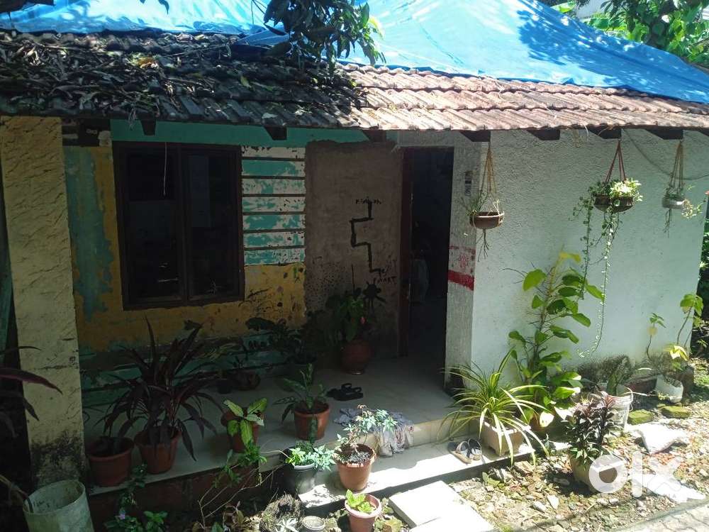 2.2 cent plot & small house sale at palluruthy kochi