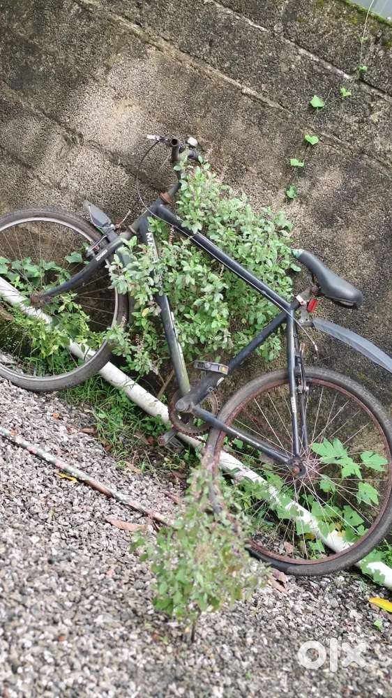 Cycle max city