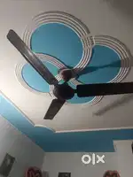 Orient fan on best price