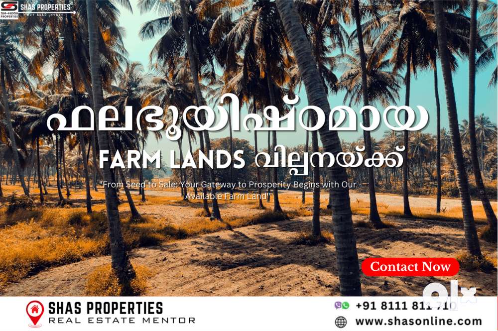 Affordable farmland for sale in Palakkad