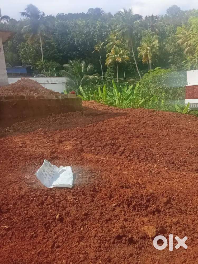 8 cents property for sale