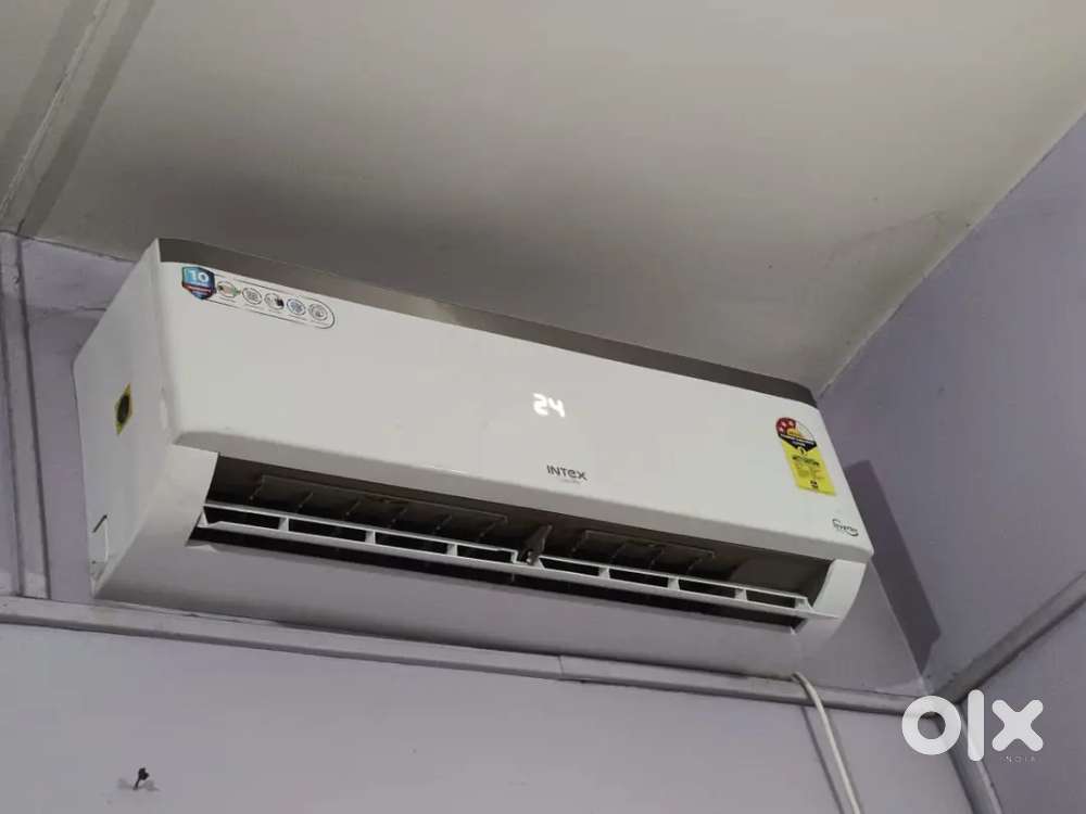 3 month old AC