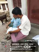 Nagar palika survey job