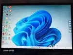 Windows 11 pro activated. NO TPM required