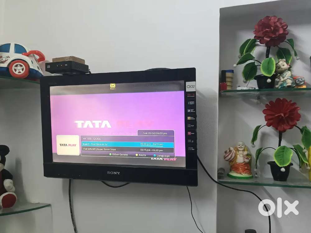 SONY BRAVIA TV