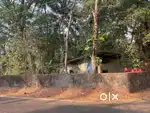 Roadside property for sale!!