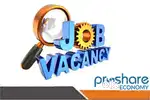 Telecalliing, Data entry,nteam maintaintenance, team management.