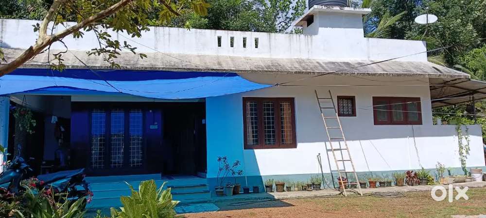 19.5 cent plot with 3 BHK House
