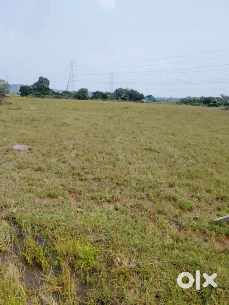 Plot Av In Dasapur Near 800 acres Government New city Bhubaneswar