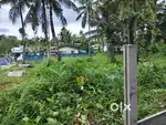 13cent plot near ottapunna cherthala