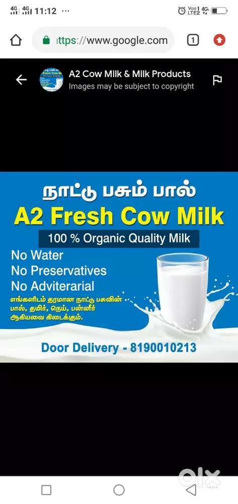 Comfortable milk delivery job