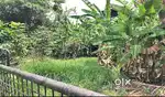 Kochi land sale 7 cents Palarivattom Rs 22 Lakh/Cent. Thattarath Road.