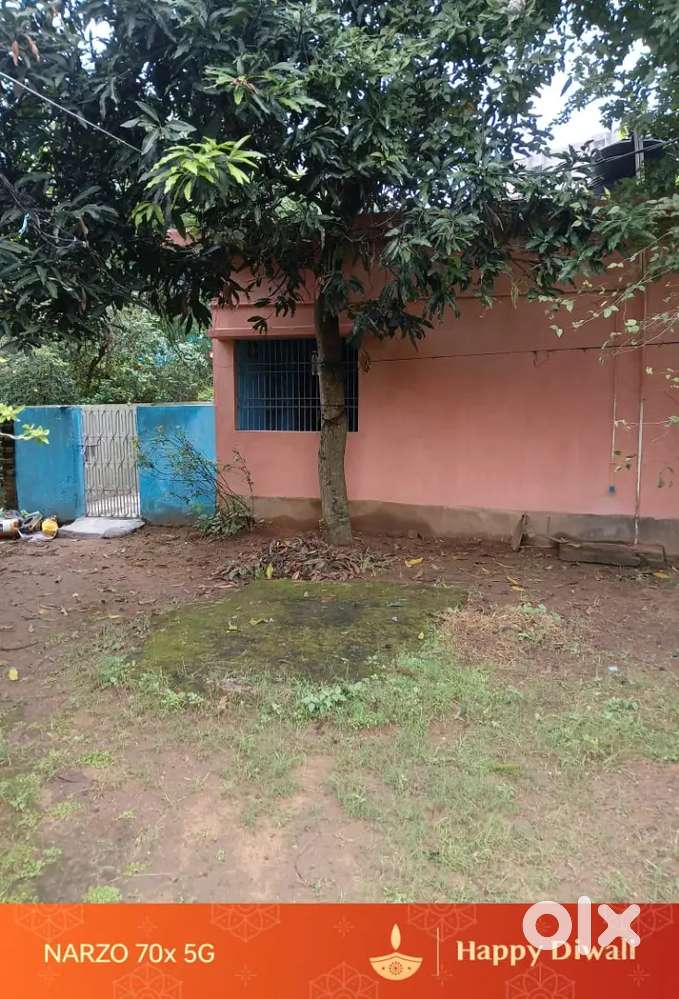 Individual house