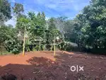 10 cent plot for sale near Rajagiri hospital aluva