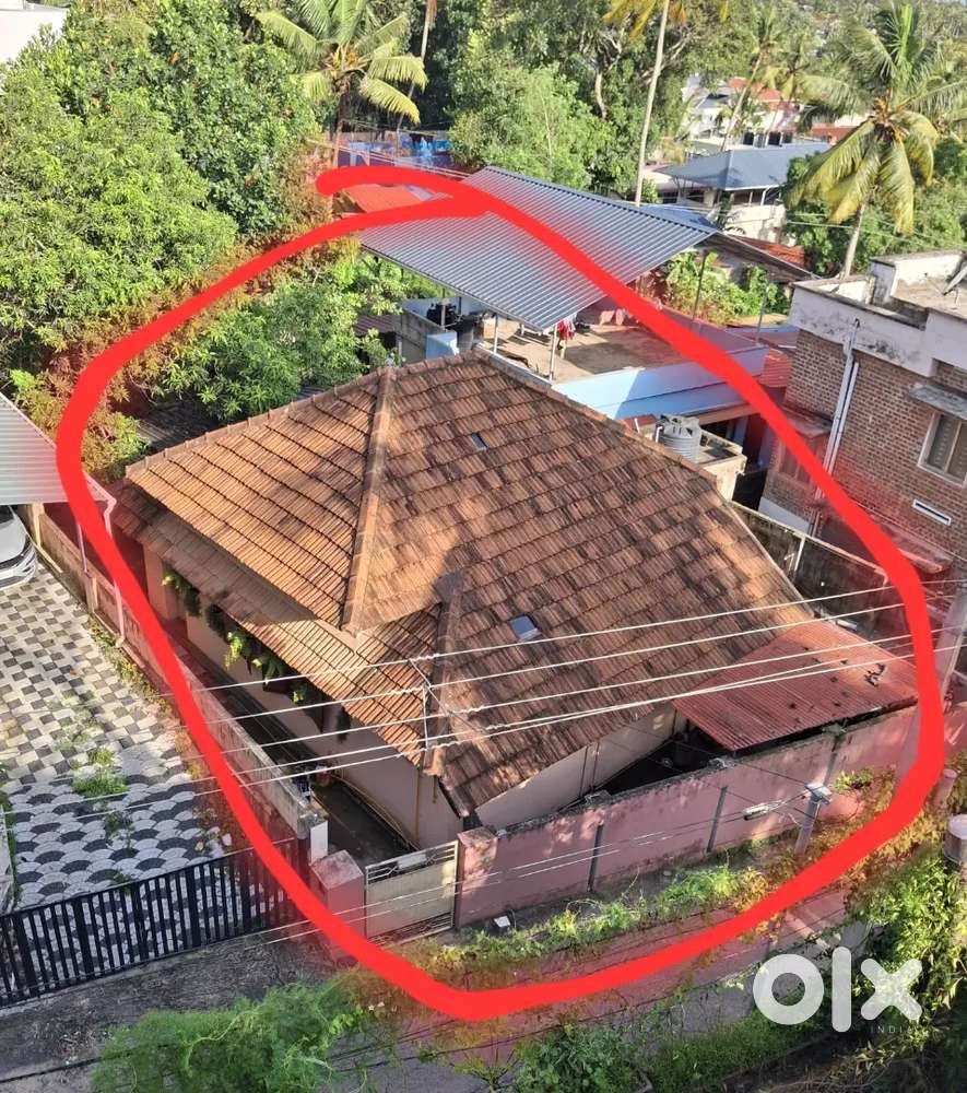 PLOT FOR SALE IN KANNAMMOOLA