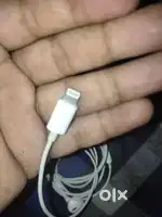 Apple earphone