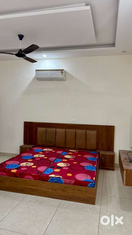  1RK Luxurious Apartment – Fully Loaded