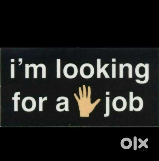 I’m looking for job