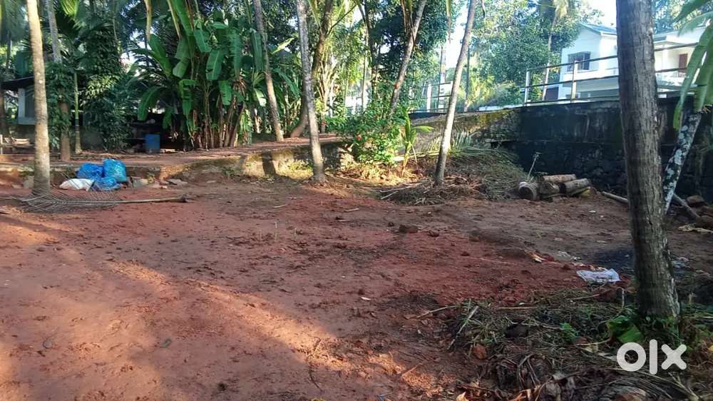 5 cent plot in Kadalundi